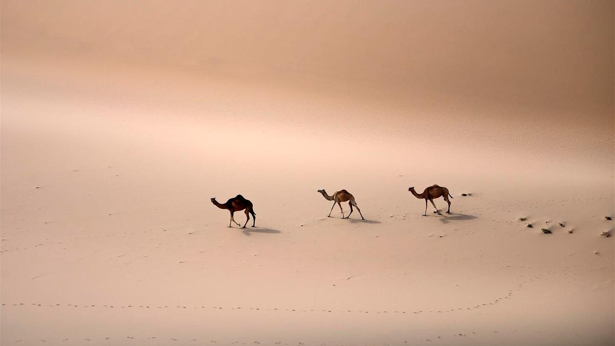 El desierto del Dakar deja imágenes impresionantes