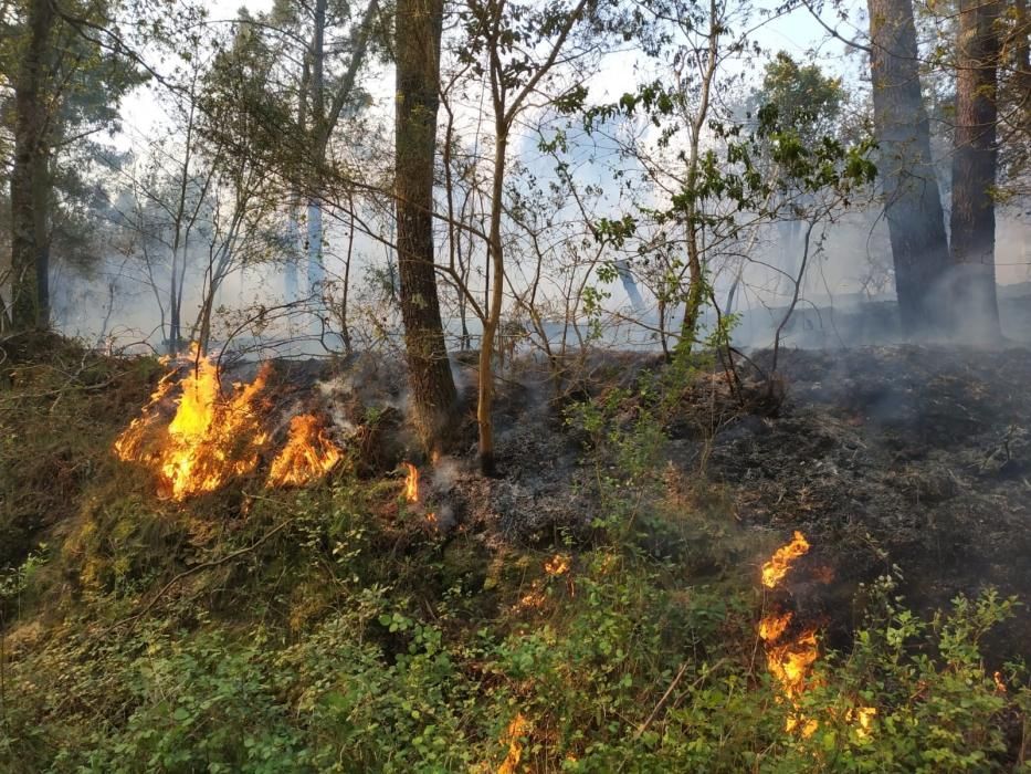 Un instituto y una escuela unitaria han sido desalojados. El fuego ya ha arrasado unas 850 hectáreas.