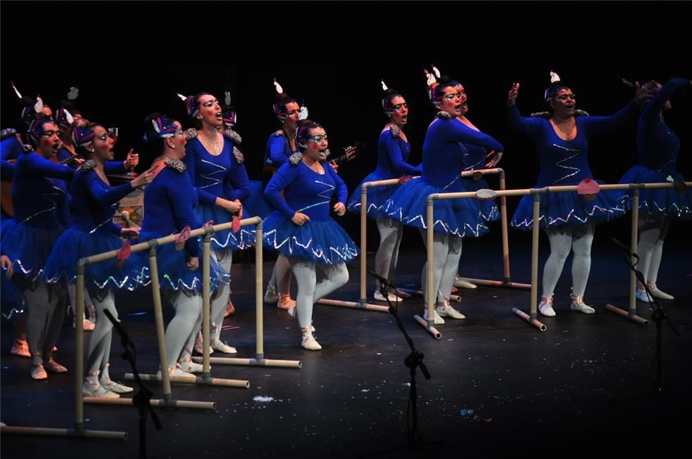 FOTOGALERÍA / Los 32 semifinalistas del Carnaval de Córdoba