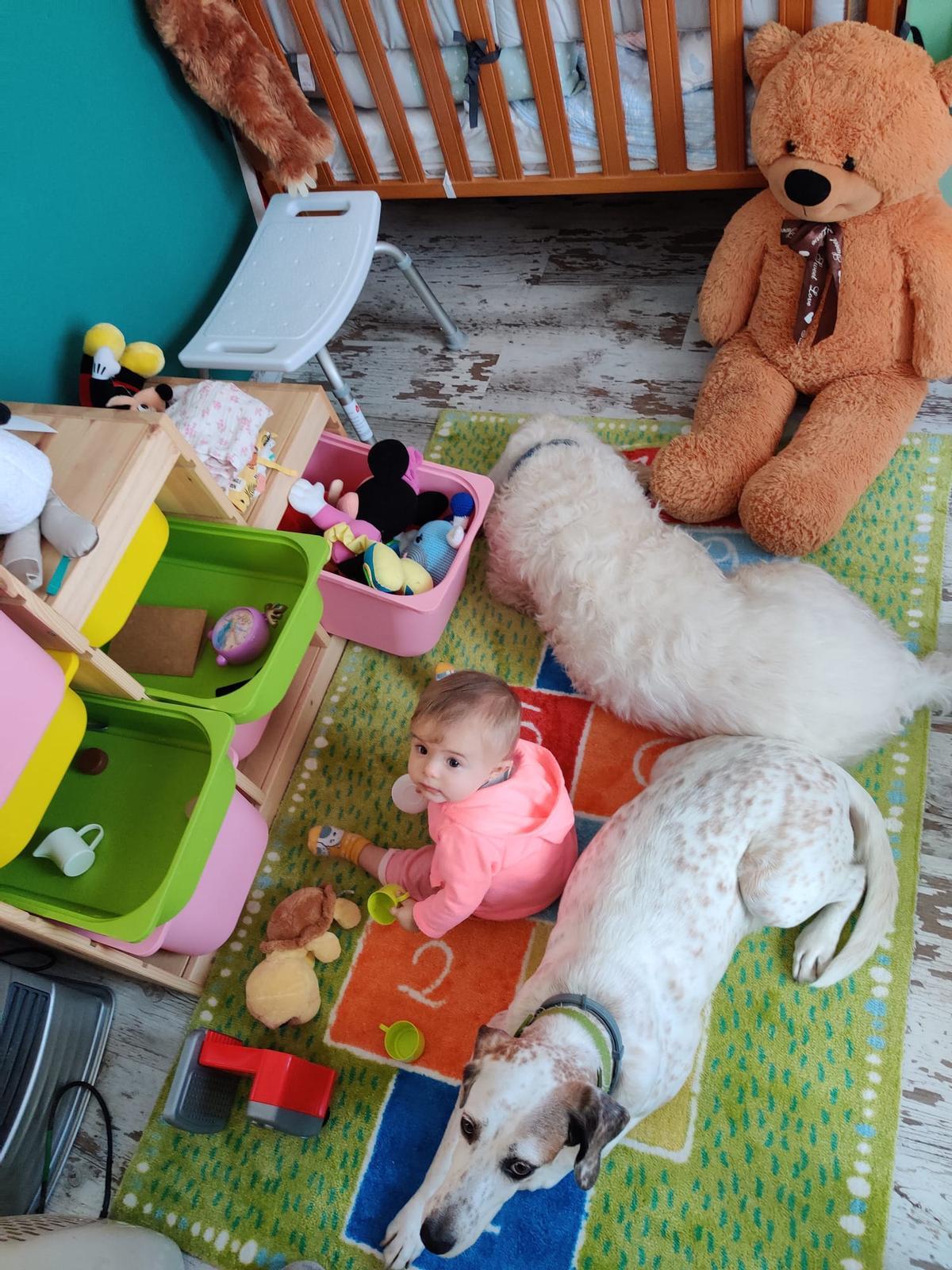 La pequeña Irene Menéndez Losa y los perros "Groucho" y "Laica", con sus juguetes.