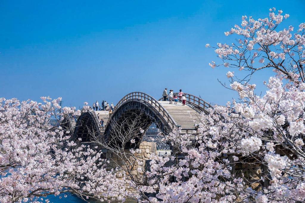 Japón, el viaje de tu vida, ¿por qué no en 2023?