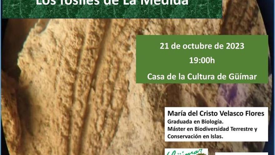 Los fósiles en La Medida