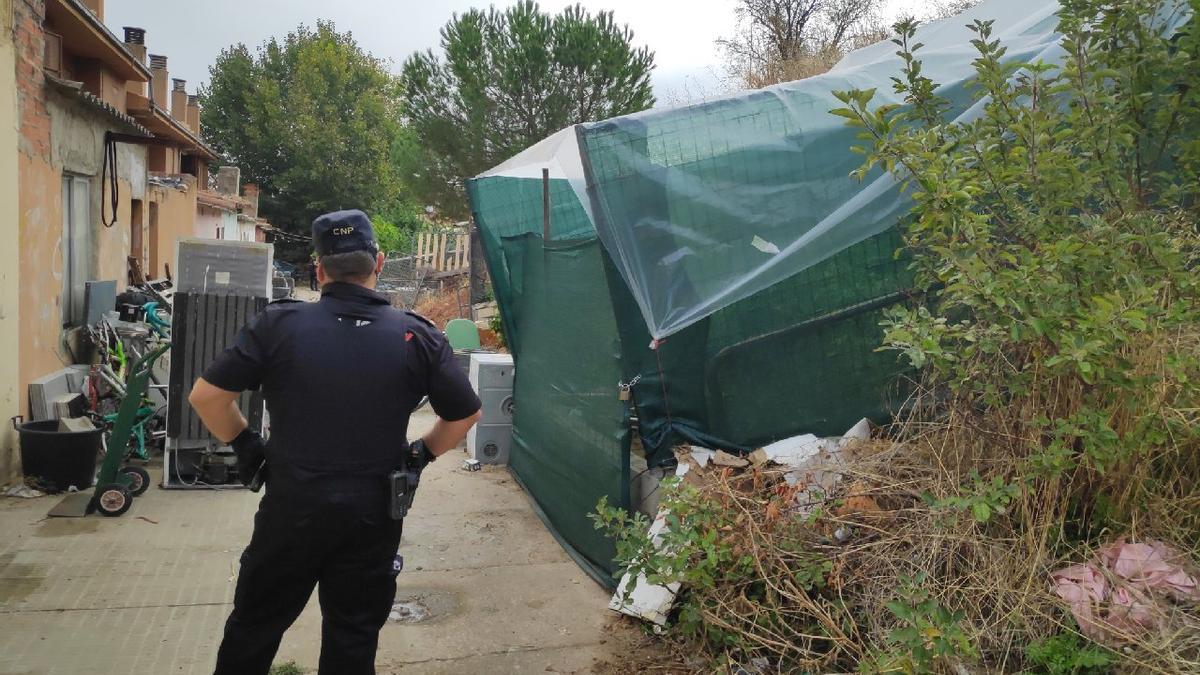 Una de las plantaciones de marihuana localizada en Zamora