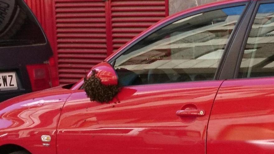 Los bomberos retiran un enjambre de abejas del retrovisor de un coche