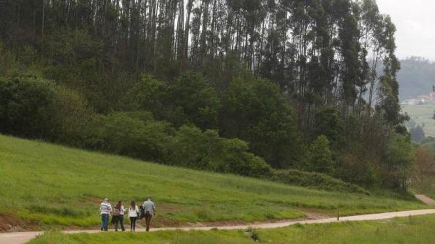 IU pide instalar bancos en la senda del río Magdalena