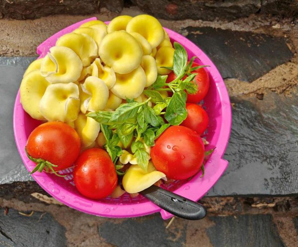 Setas con tomate, en una clásica combinación. | ARI Y TAPANI KOTISAARI
