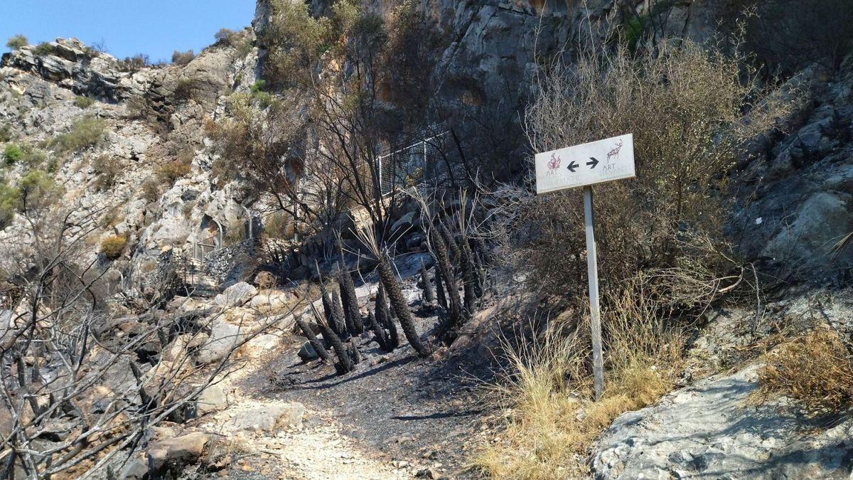 El fuego ha carbonizado la vegetación del abrigo de arte rupestre.