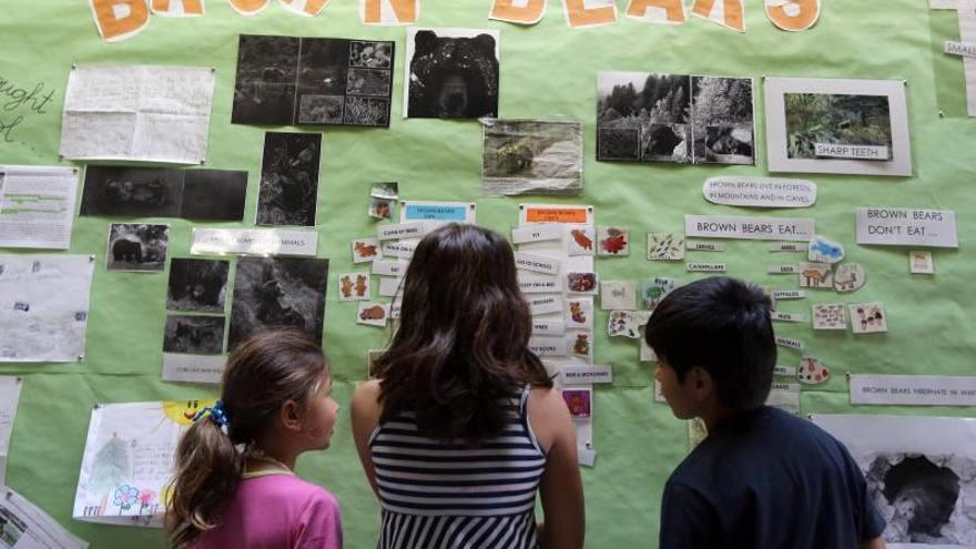 Los colegios de Castellón tienen cinco semanas para decidir su modelo plurilingüe