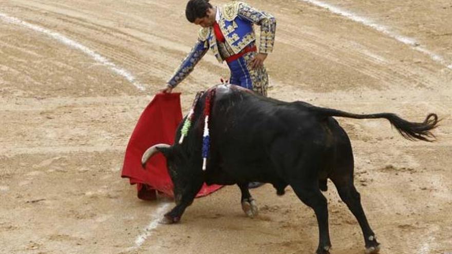 La vuelta de los toros a TVE, cada vez más cerca