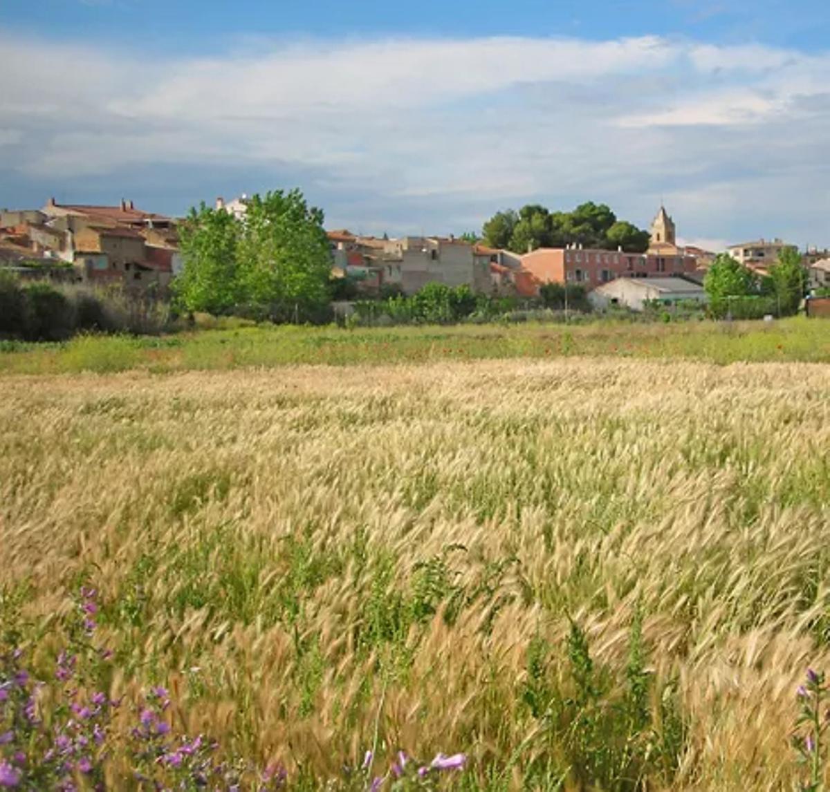 Campos alrededor de San Pedro