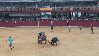 La feria taurina de Toro, adjudicada a esta empresa