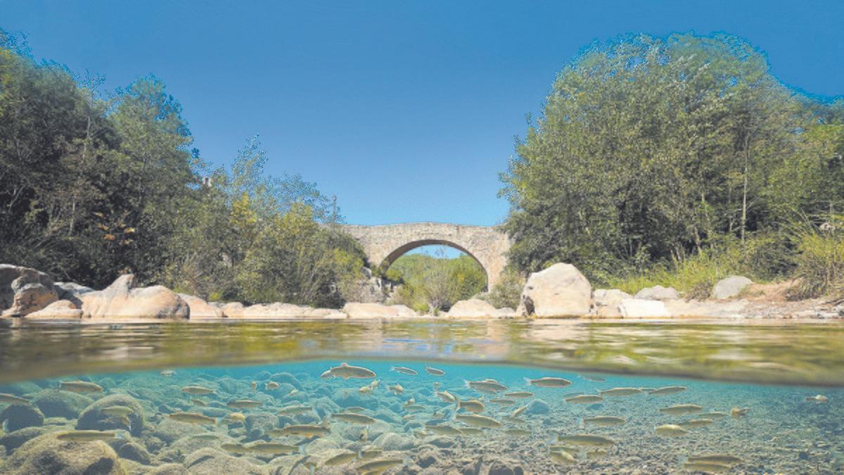 Sant Llorenç de la Muga, en la provincia de Girona