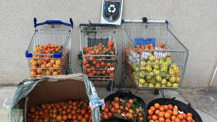 Intervienen 200 kilos de cítricos y 300 prendas de ropa ilegales en el mercadillo de Ribera de San Javier