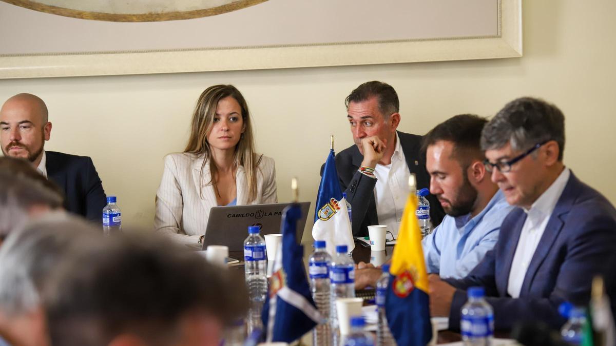 Miriam Perestelo, en el centro de la imagen, durante un encuentro anterior con representantes del área de cultura del Gobierno de Canarias.