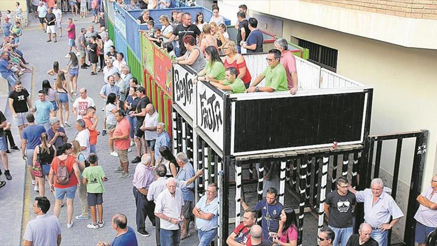 Las vacas de El Gallo lucen en las celebraciones de la Llosa