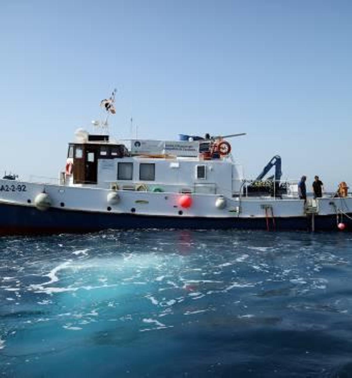 Emerge la historia del Bou Ferrer