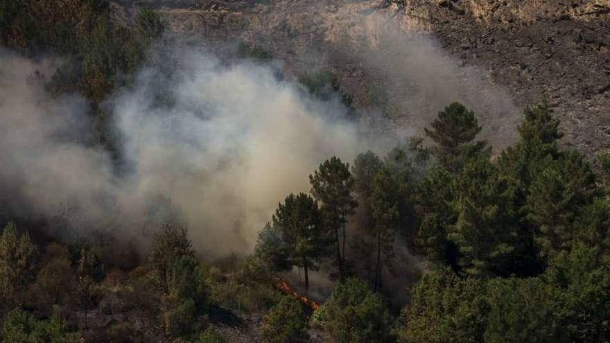 Incendio forestal en Cenlle. // Brais Lorenzo