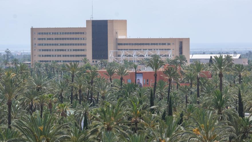 ones a la sanidad privada a la falta de medios en verano: estas son las críticas del PSOE de Elche al Consell