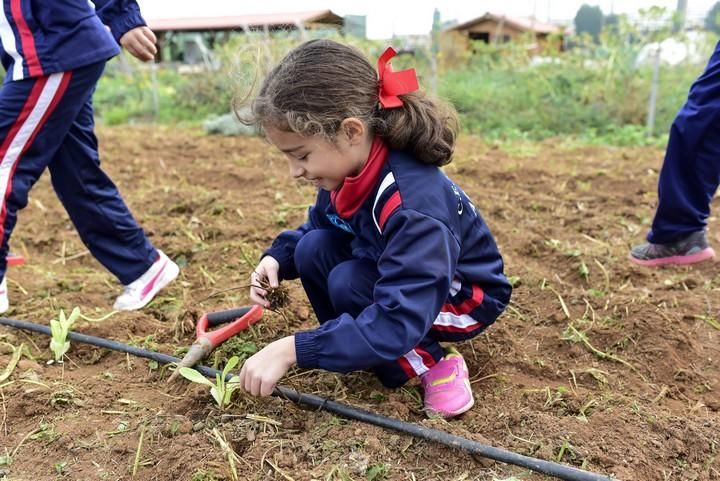 Visita escolar a la Granja Agricola del Cabildo