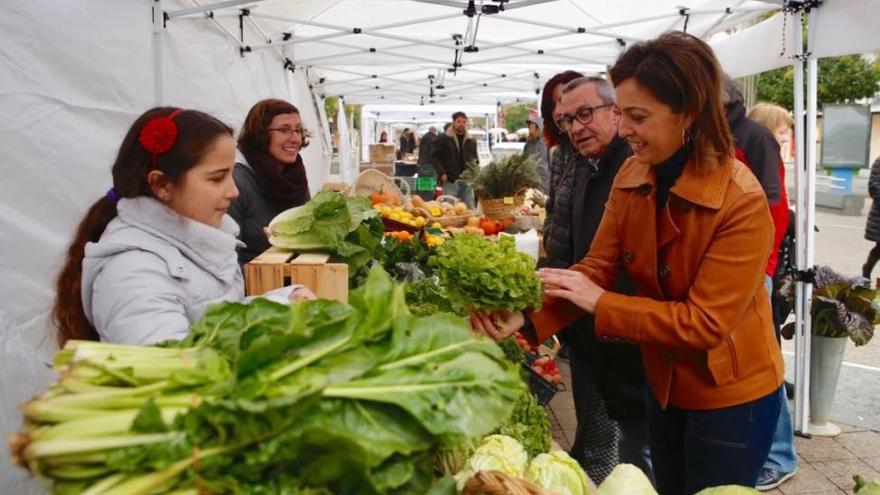 El Ecomercado de Córdoba se estrena en el bulevar del Gran Capitán