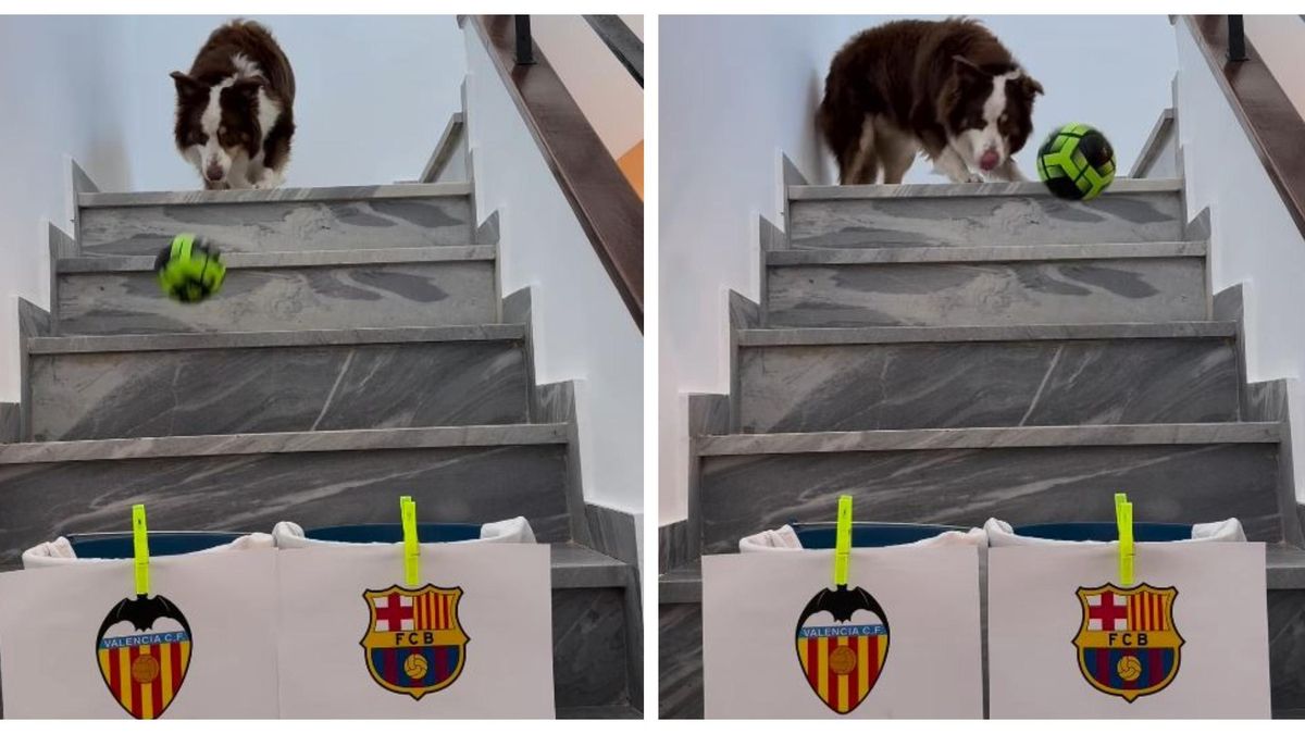 Tyson, con su tradicional juego de pronósticos