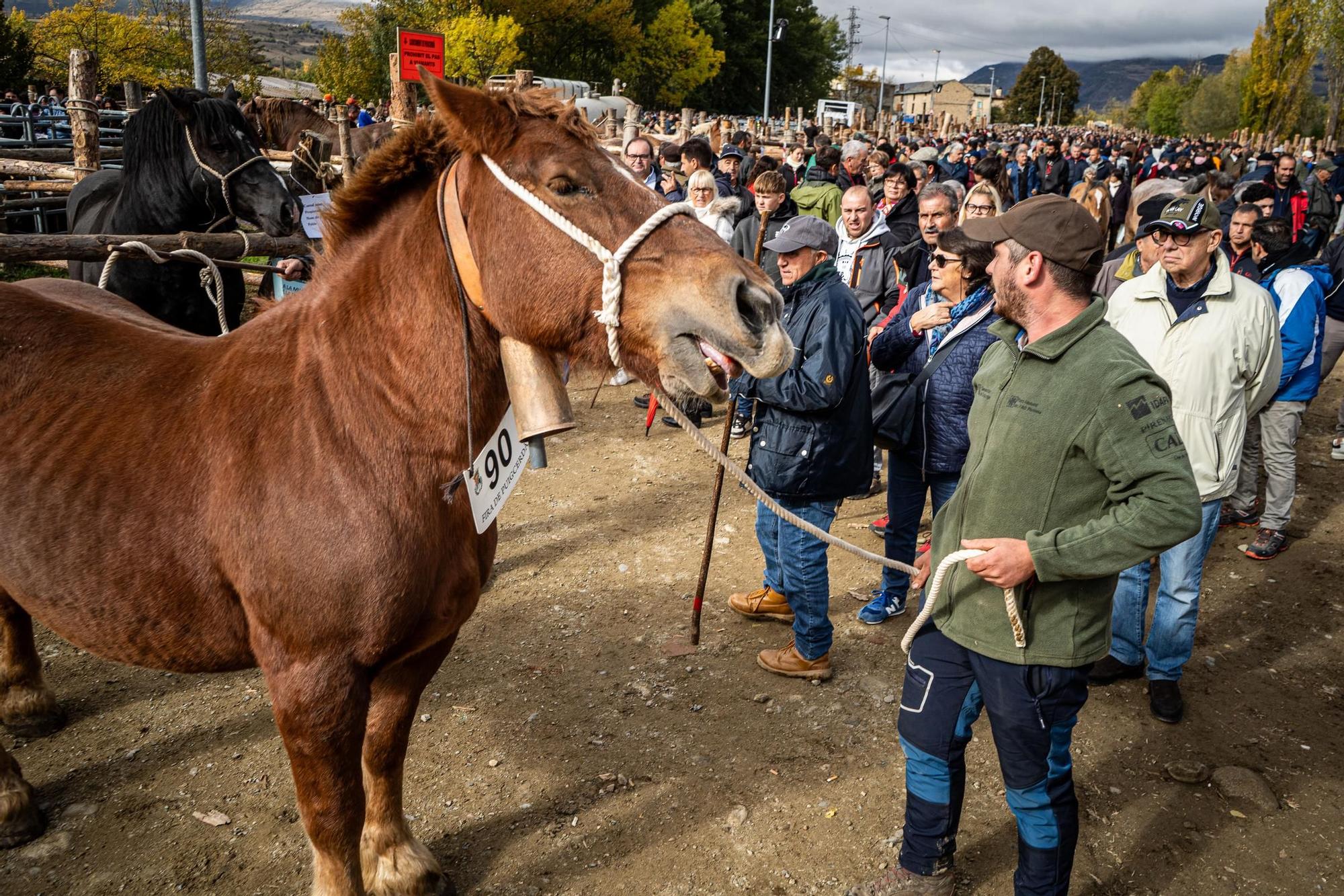 Totes les imatges de la Fira del Cavall de Puigcerdà