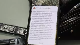 La Generalitat envía un Es-Alert a toda la provincia por vientos que pueden superar el sábado los 150 km/h