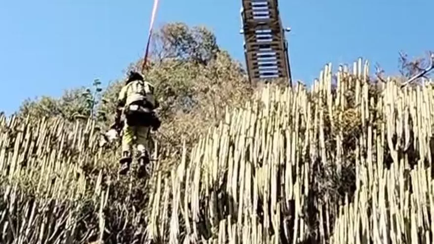 Rescatan a un perro de un lugar de difícil acceso en Tenerife