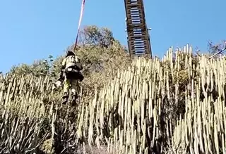 Rescatan a un perro de un lugar de difícil acceso en Tenerife