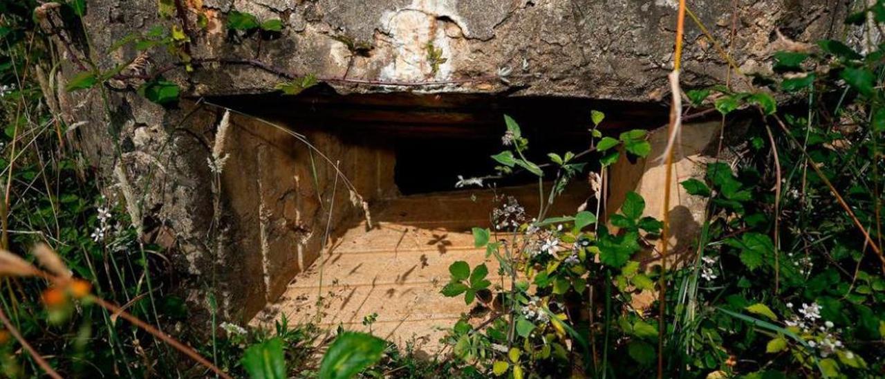 Entrada de un nido trinchera.