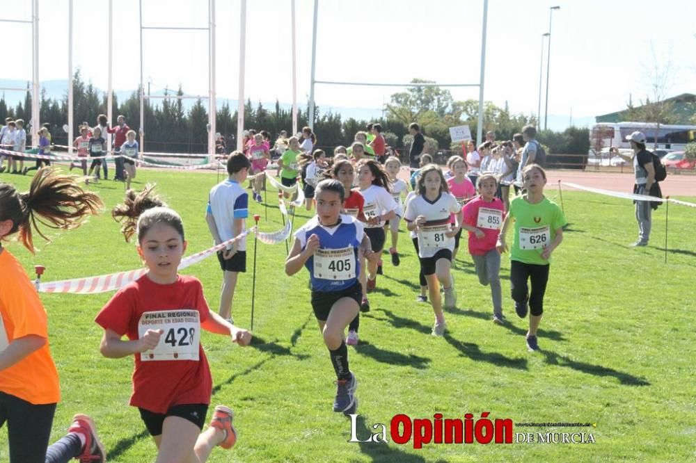 Final Regional Escolar de Cross de Campo a través