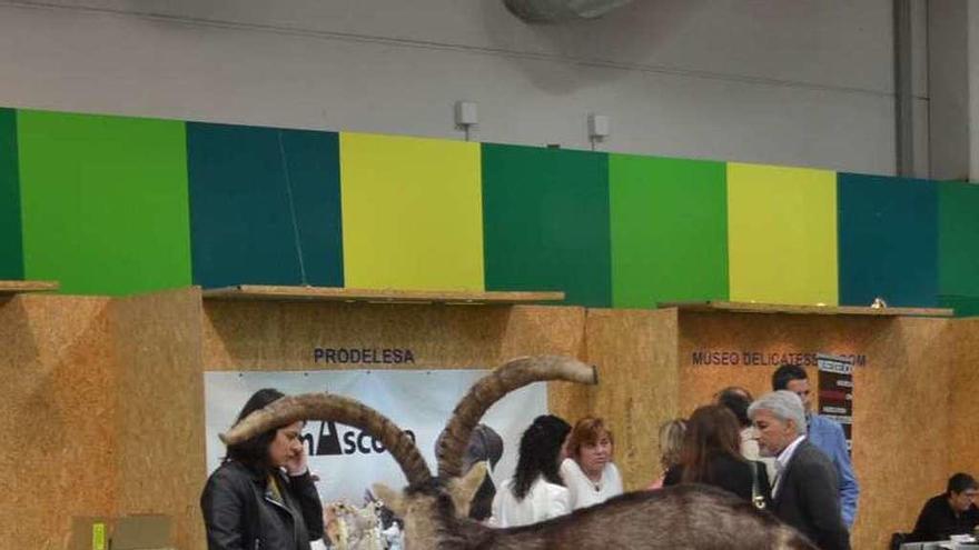 Ejemplares expuestos en la feria de 2017.