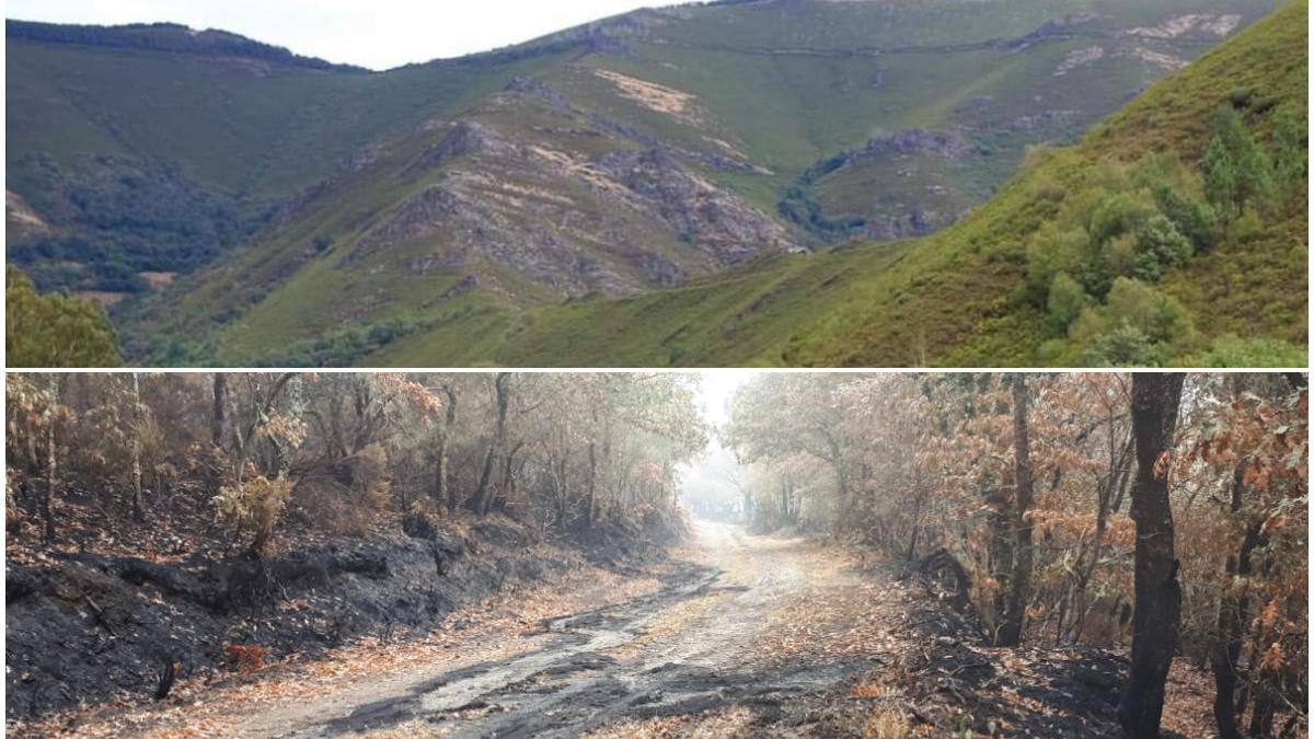 Serra de San Mamede, el antes y el después tras la vorágine del fuego