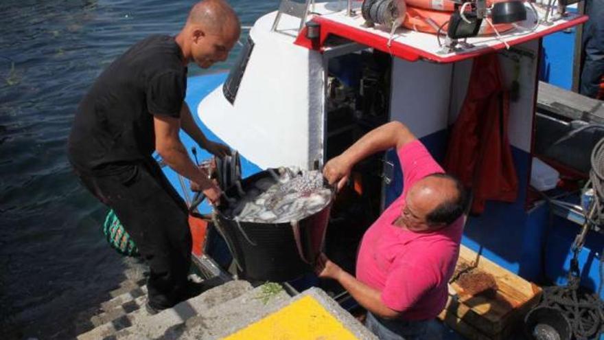 Naseiros de Bueu descargando pulpo después de una jornada de trabajo en la ría.  // Santos Álvarez