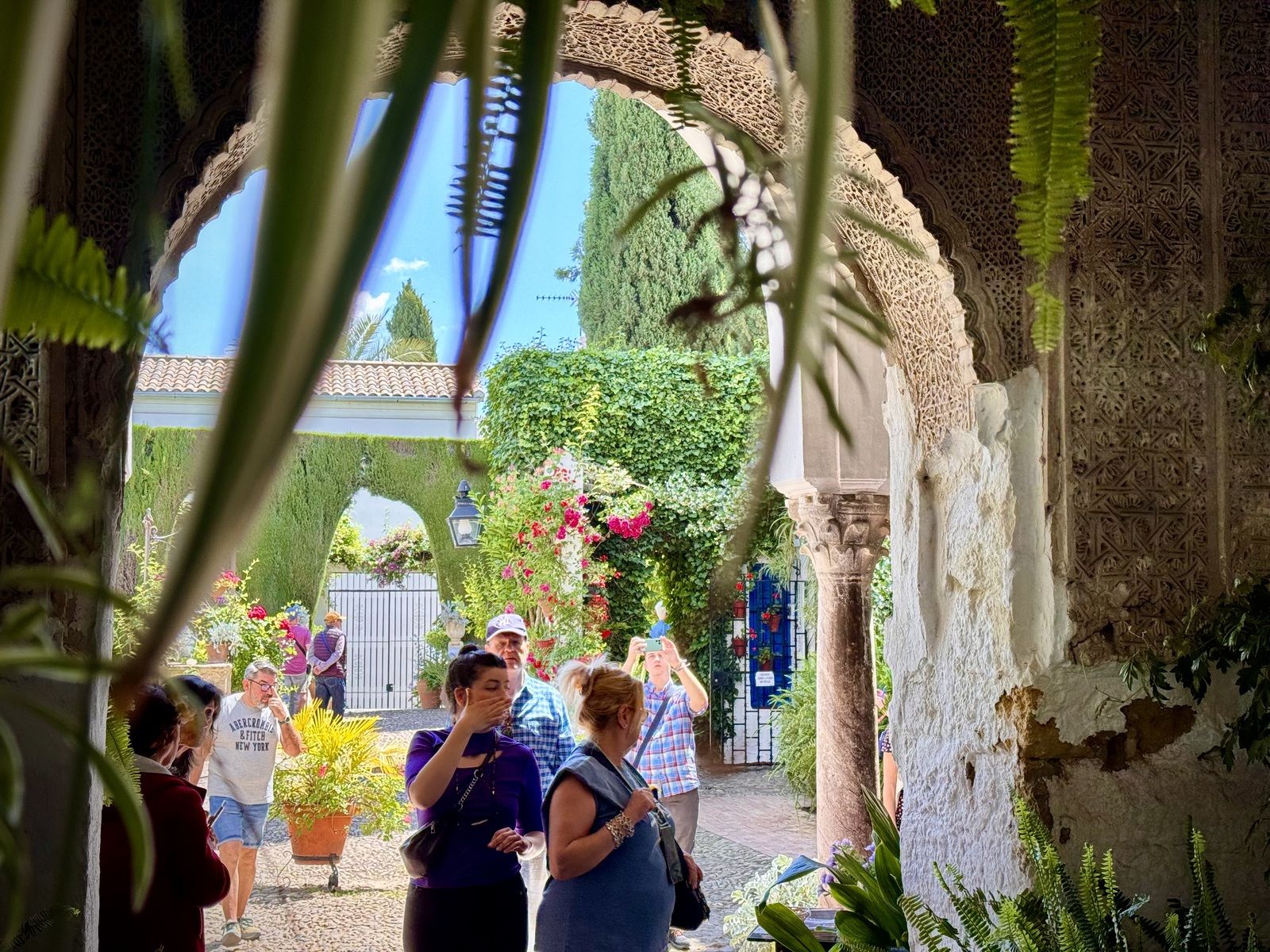 La Ruta 3 de los Patios de Córdoba, en imágenes