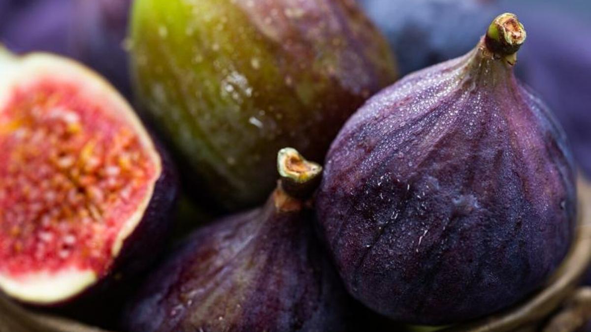 La "fruita dels filòsofs"