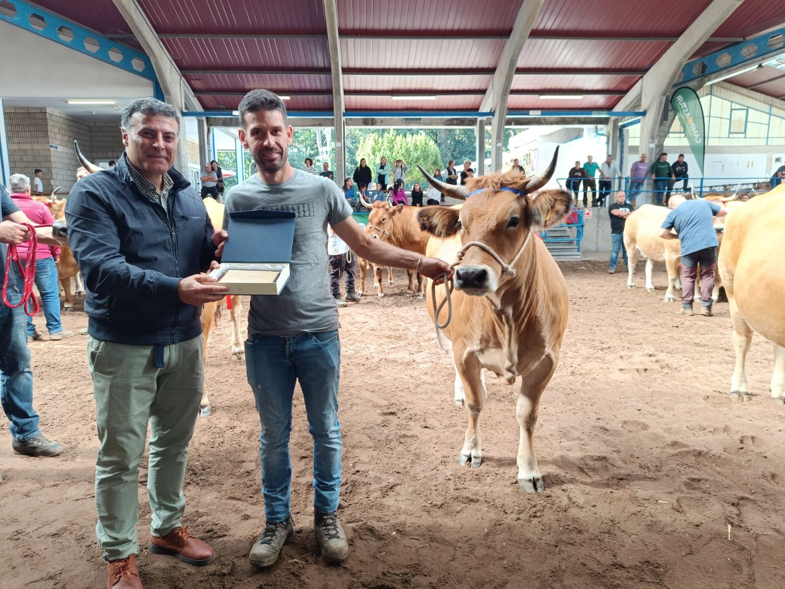 En imágenes: los premiados en la Muestra ganadera local de Cangas del Narcea