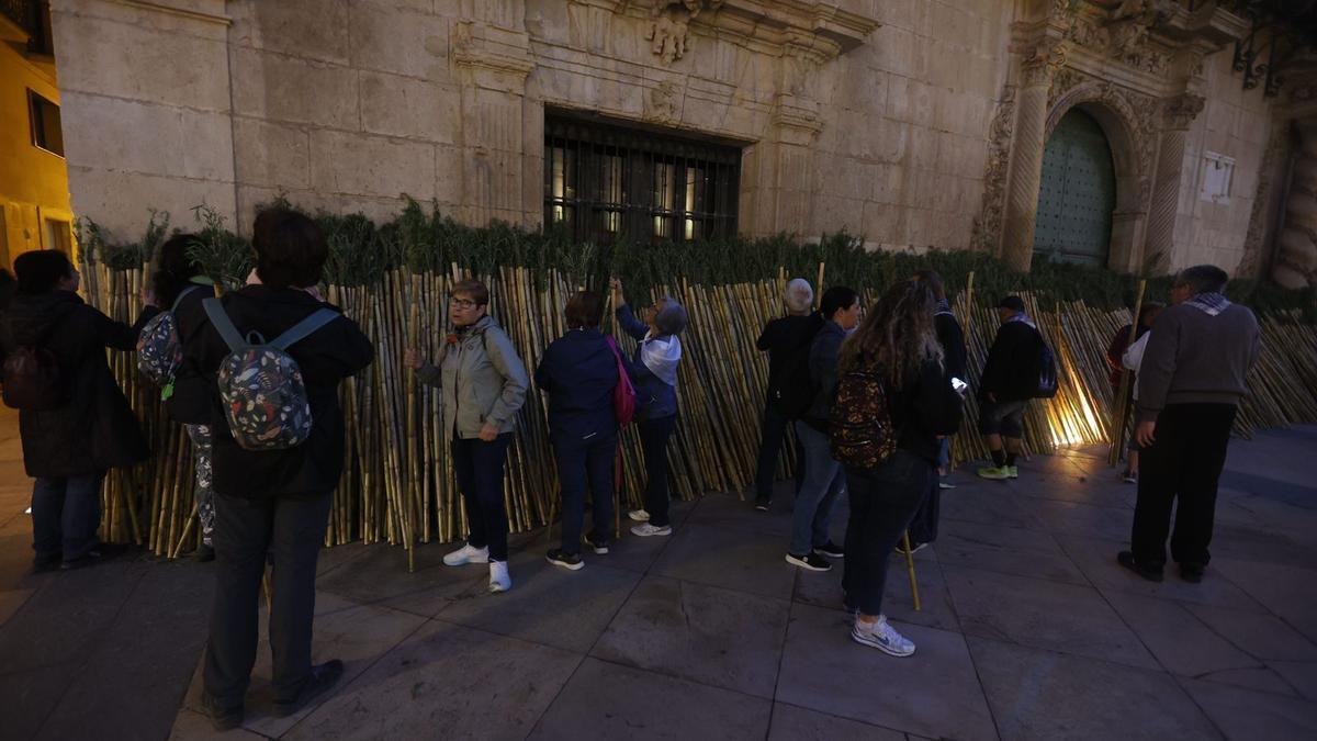 Santa Faz 2024: la recogida de las cañas en la puerta del Ayuntamiento de Alicante