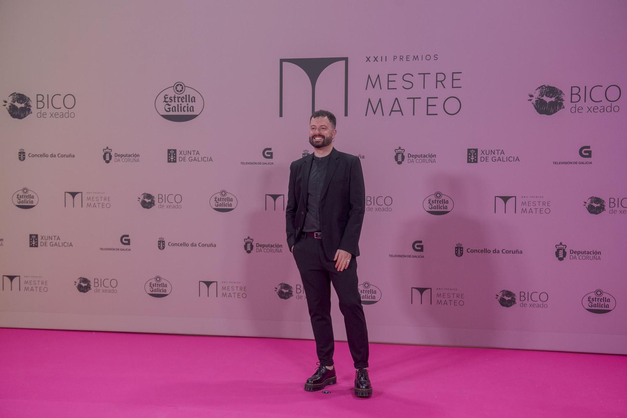 Gala dos premios Mestre Mateo 2024