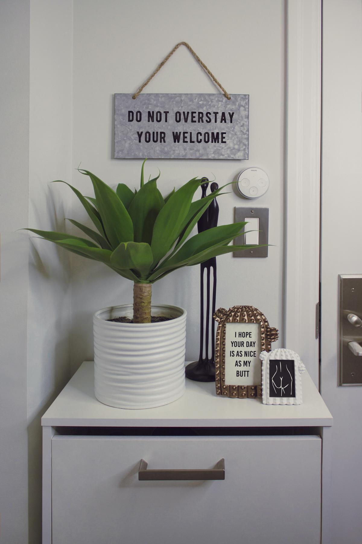 Decorar piso pequeño | Apuesta por las plantas para dar ese toque de color que estás buscando