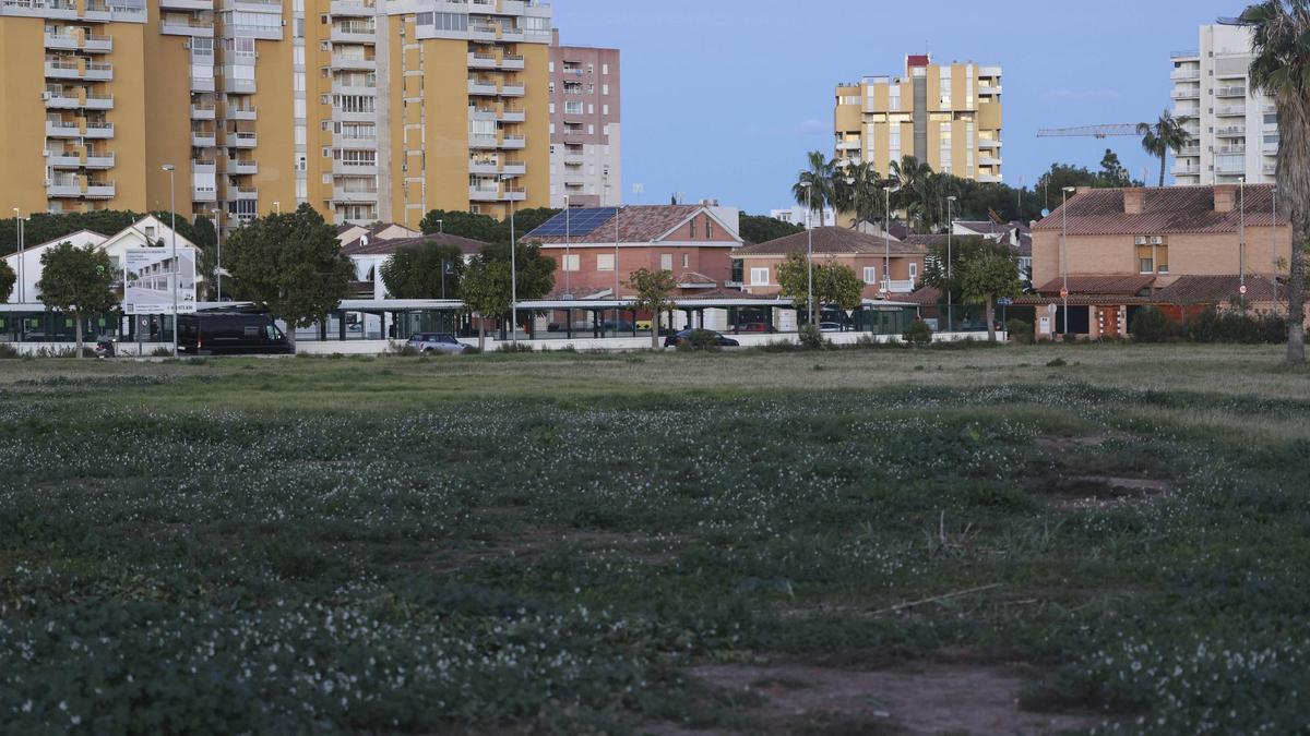 Vista de la zona verde de Canet .