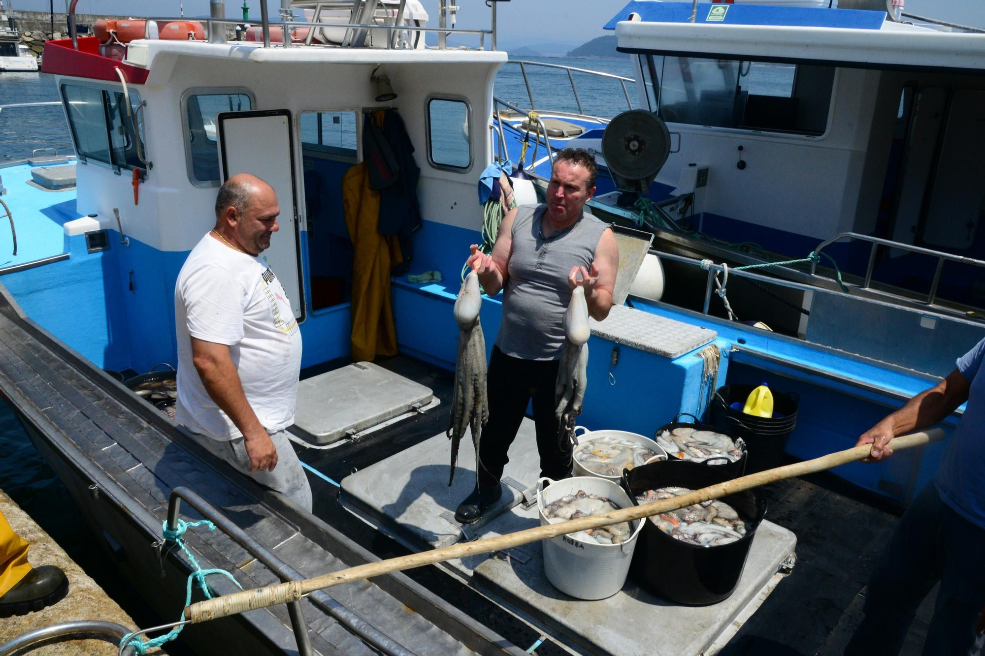 El inicio de la campaña del pulpo en el puerto de Bueu