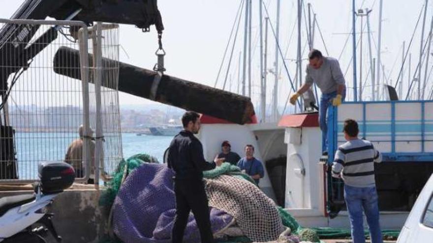 Imagen de la maniobra de desembarco del torpedo en el muelle pesquero de Torrevieja.