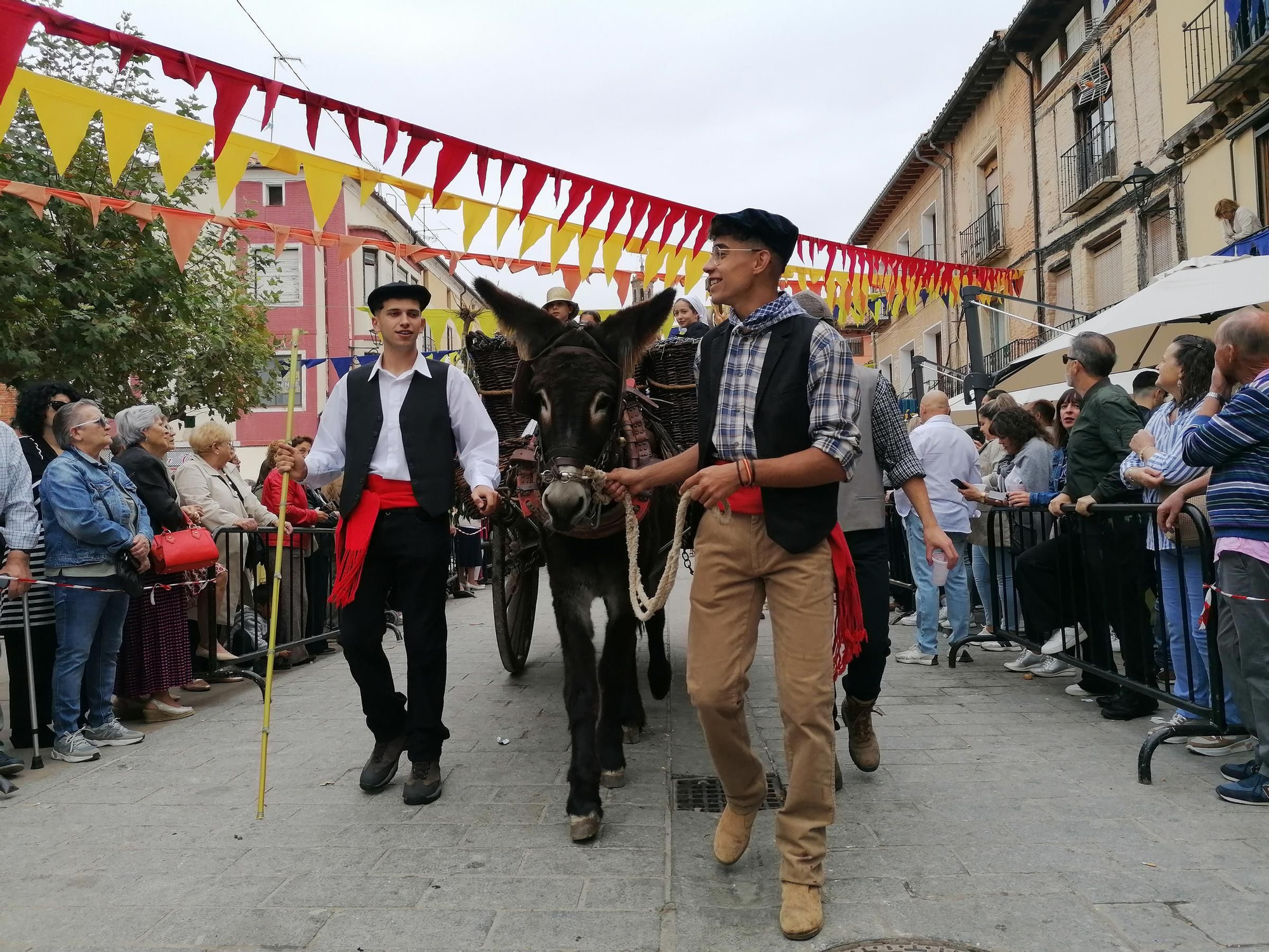 GALERÍA | Toro recrea la vendimia tradicional en el desfile de carros