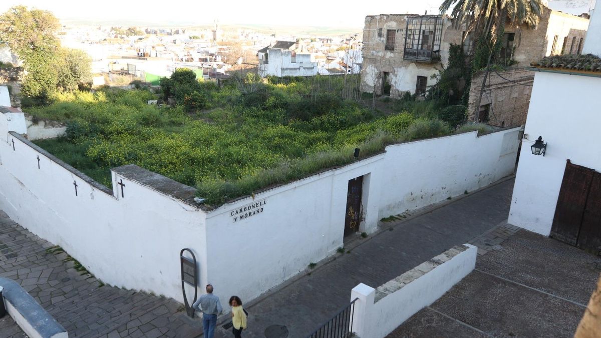 Terrenos en los que está prevista la construcción de un hotel de cuatro estrellas.