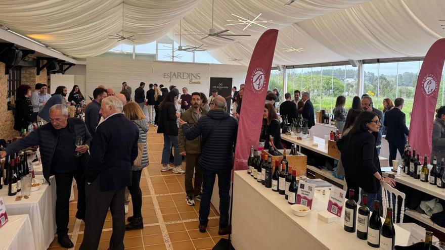 El mundo del vino se ha reunido en Tastavins 2025. | | FOTOS: BUSCASTELL VINS