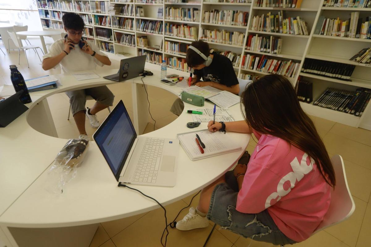 Alumnes de Batxillerat