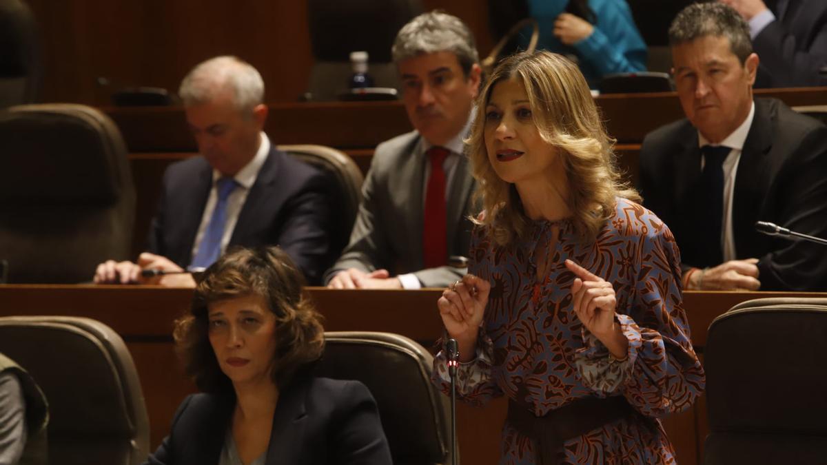 La portavoz del PP en las Cortes de Aragón, Mar Vaquero, interpela al presidente de Aragón, en las Cortes, este viernes.