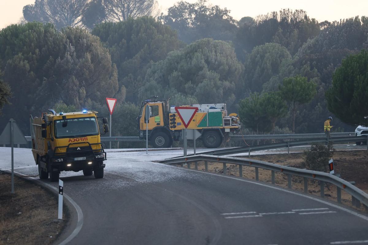 Nuevo incendio forestal en Cerro Muriano, en imágenes