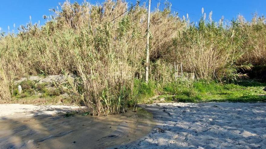 Playa de Santa Marta, con restos de fecales.